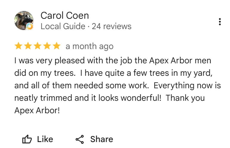 tree removal edmonton