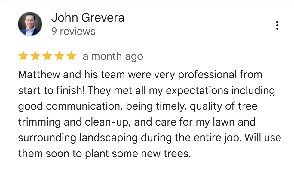 tree removal edmonton