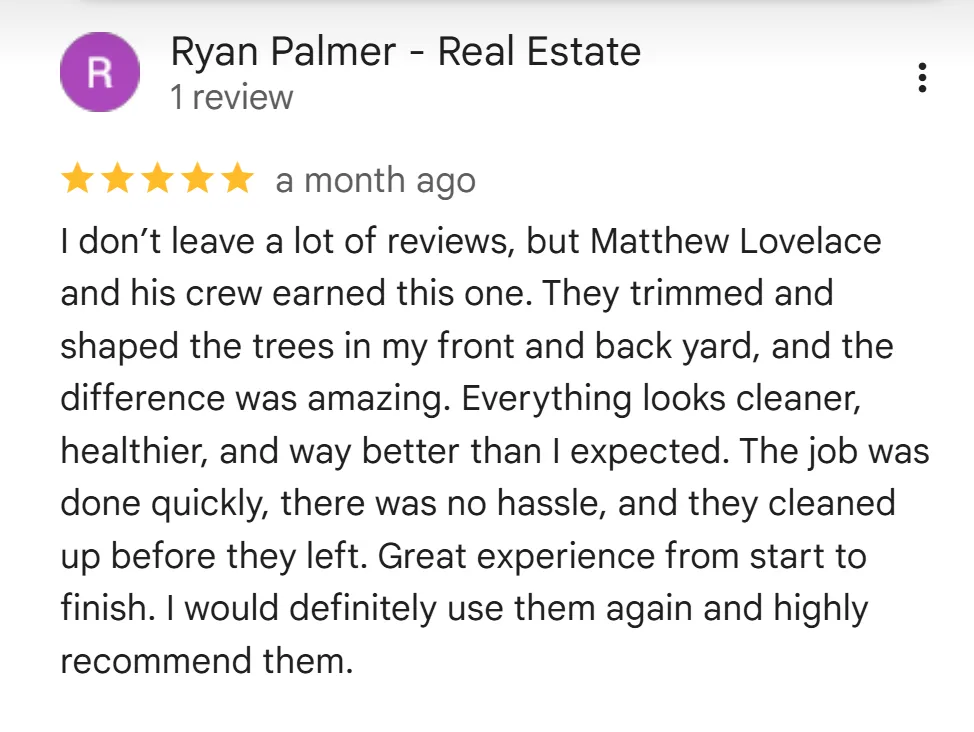 tree removal edmonton