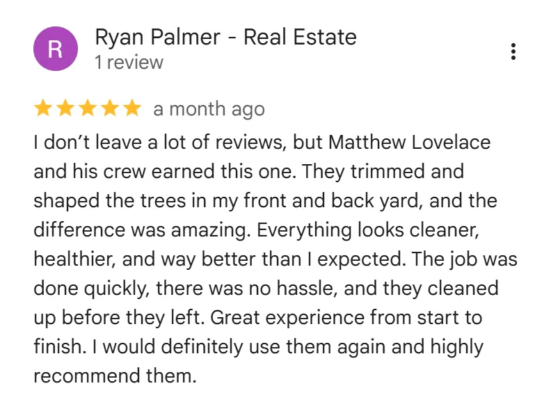 tree removal edmonton