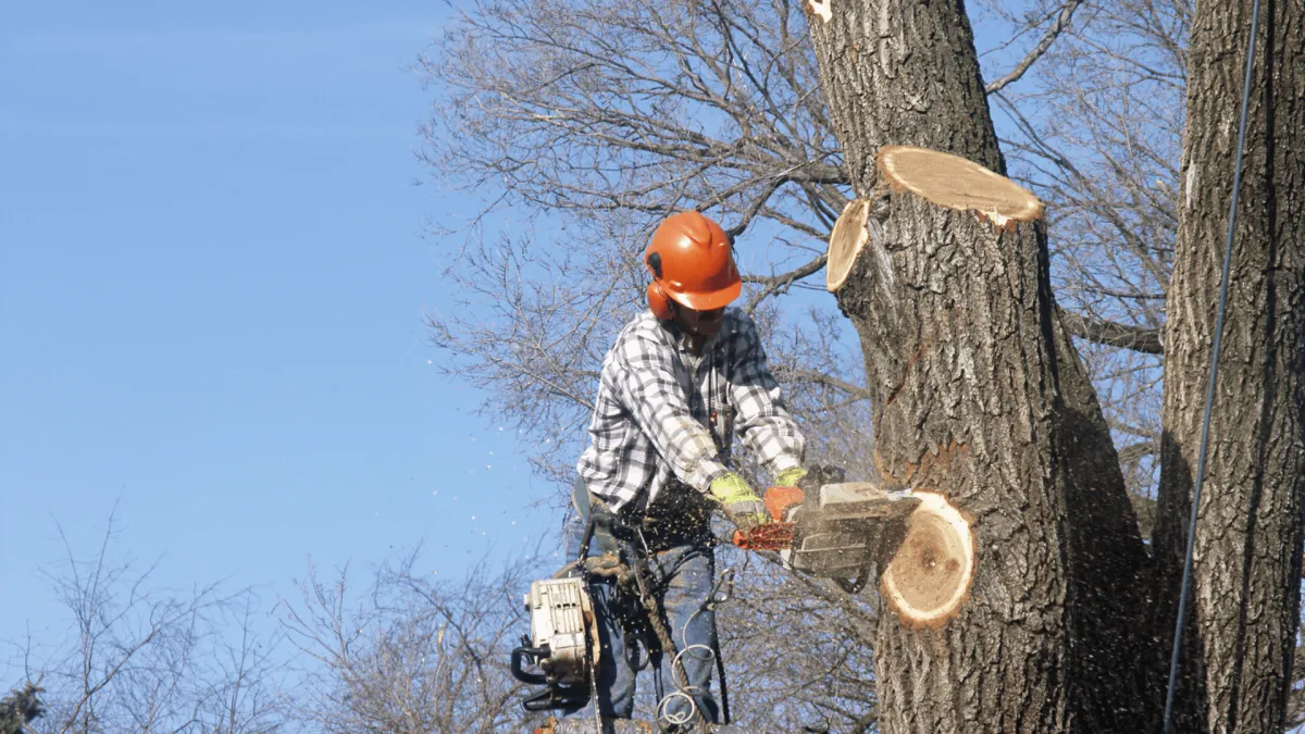 Tree Pruning