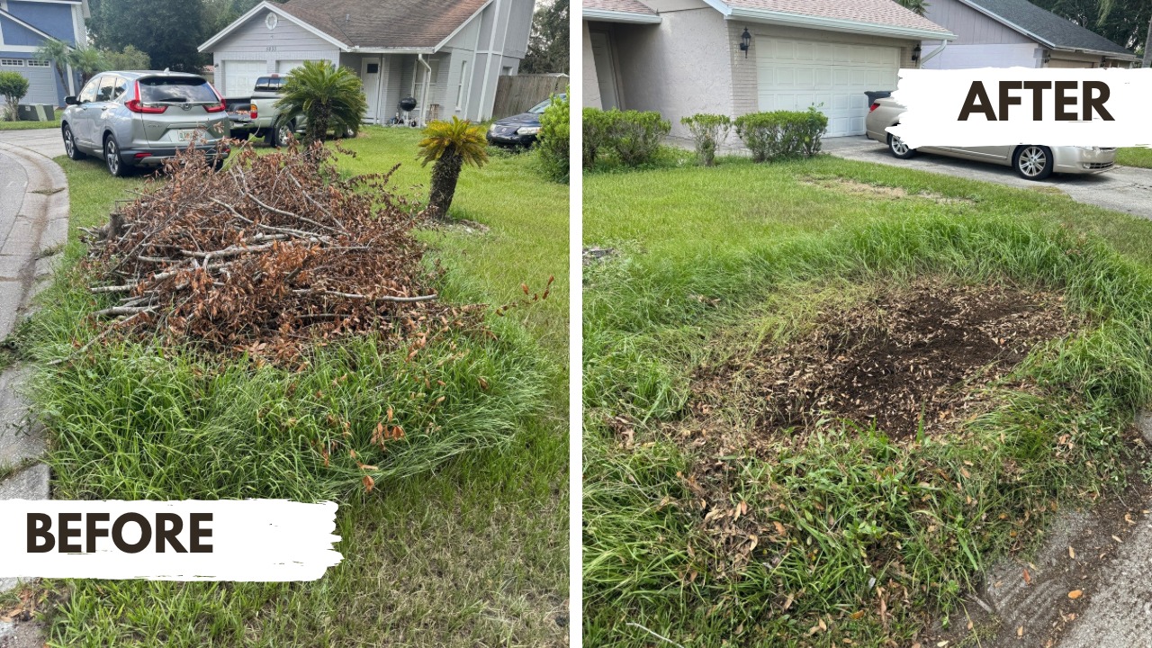 Yard Debris Removal