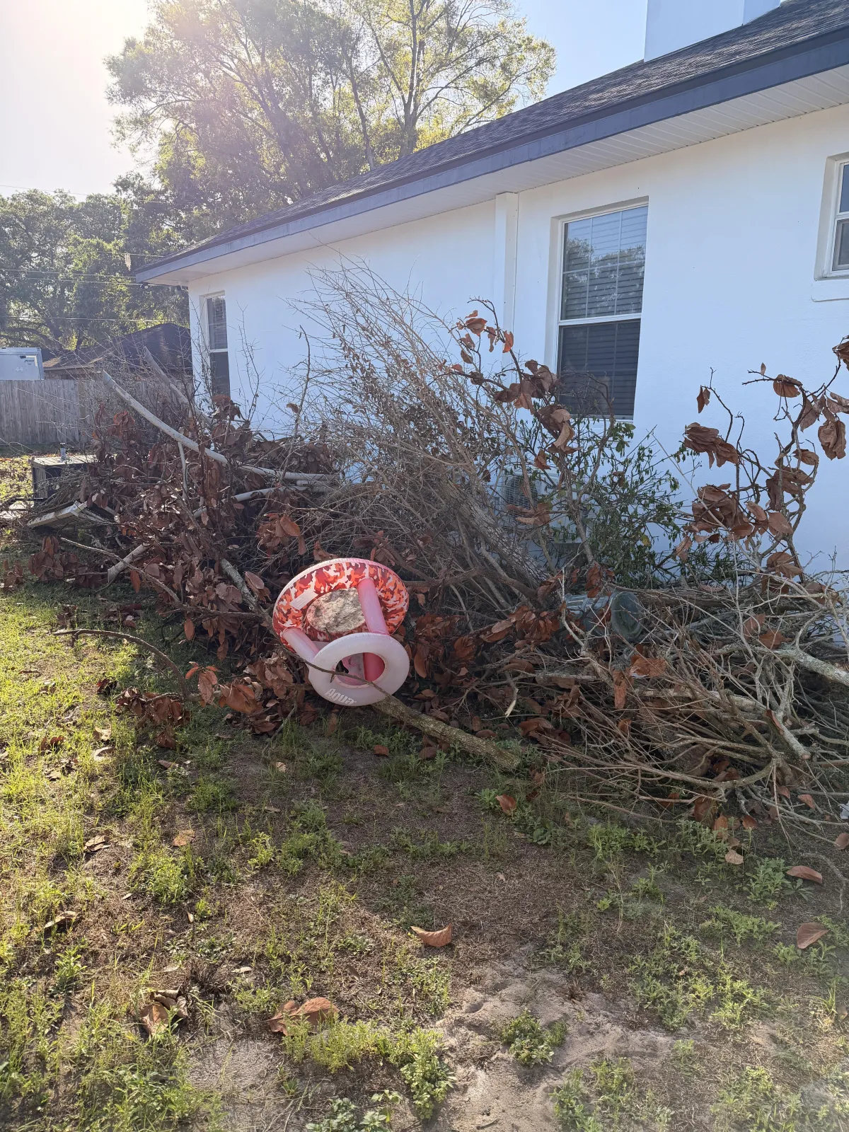 Yard Debris Removal