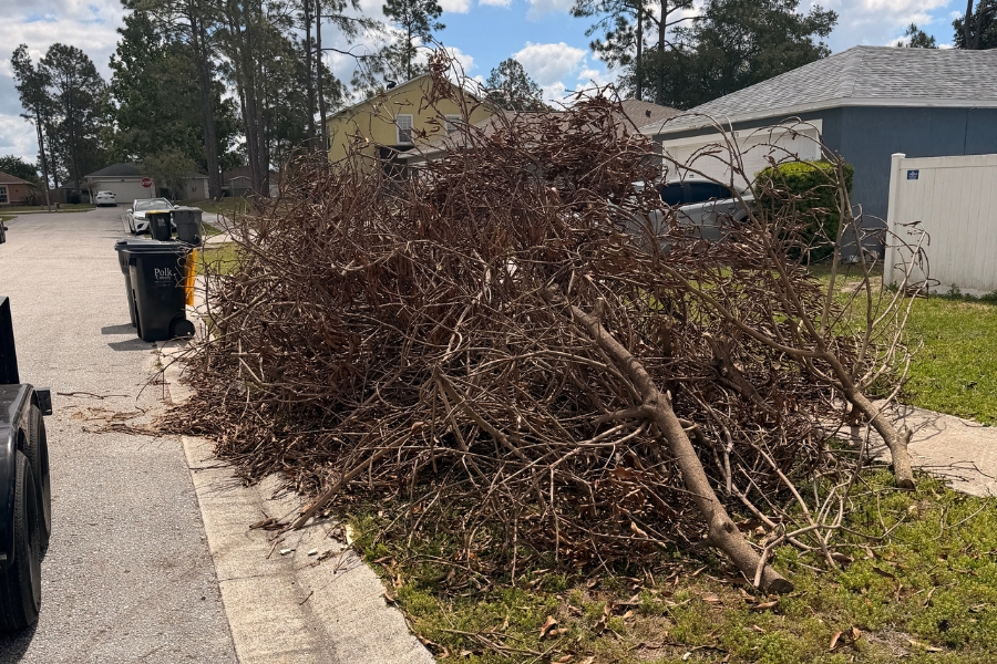 Curbside Junk Removal