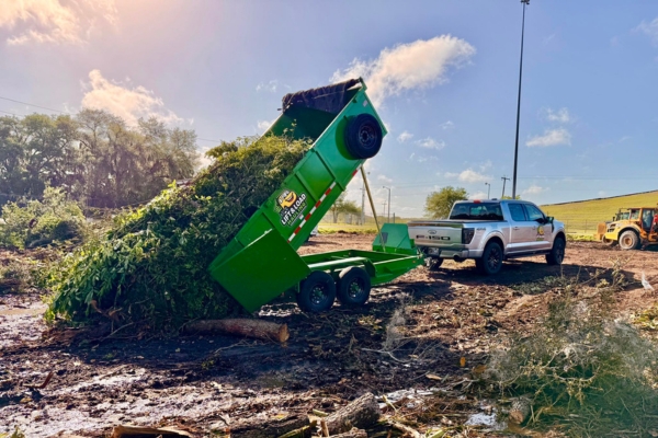 Dumpster Rental vs Junk Removal: Which Option Is Best?
