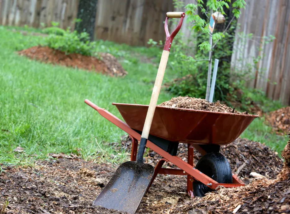 Landscaping in Mankato