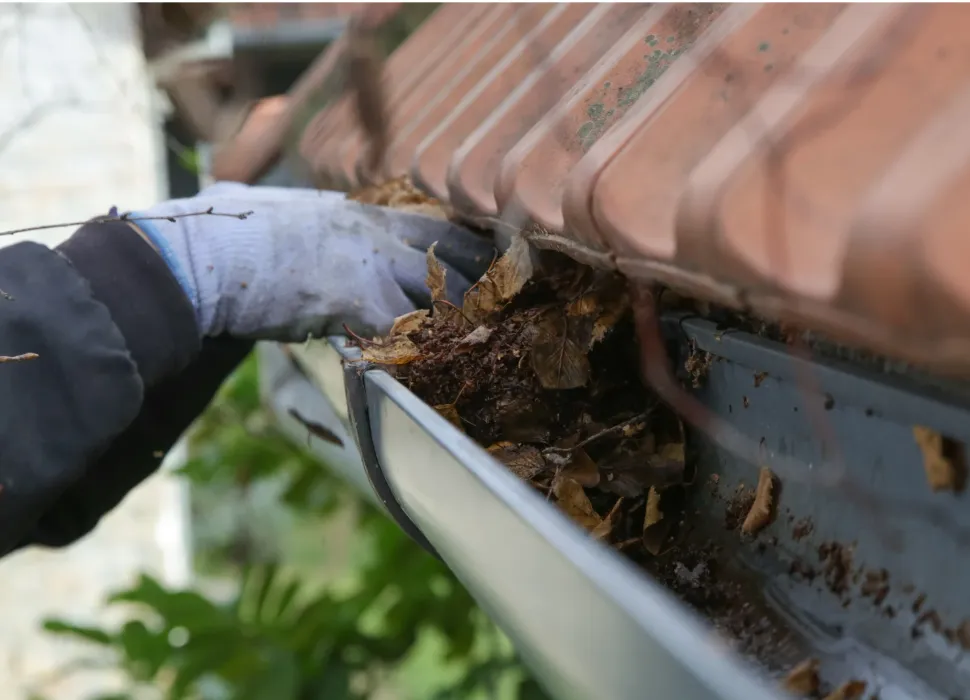 Gutter Cleaning in Mankato