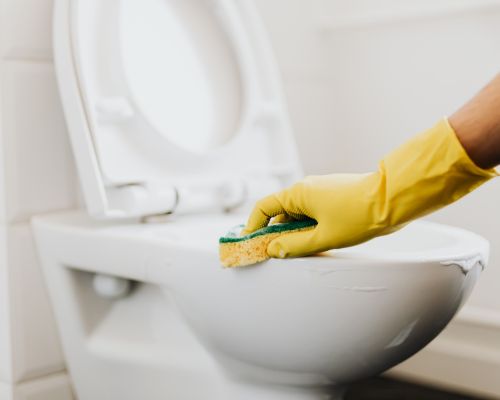 Carpet Steam Cleaning in Belmont
