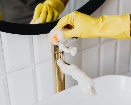 Carpet Steam Cleaning Belmont