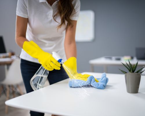 Move In/Out Cleaning in Belmont
