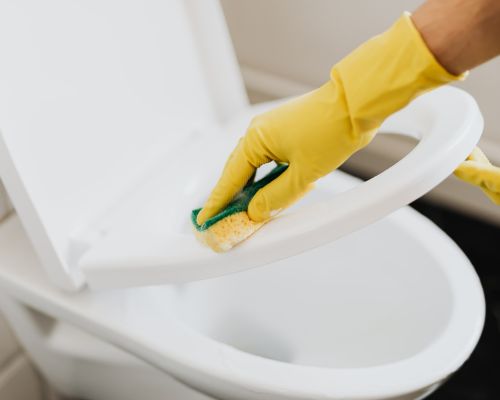 Tiles & Grout Cleaning in Belmont