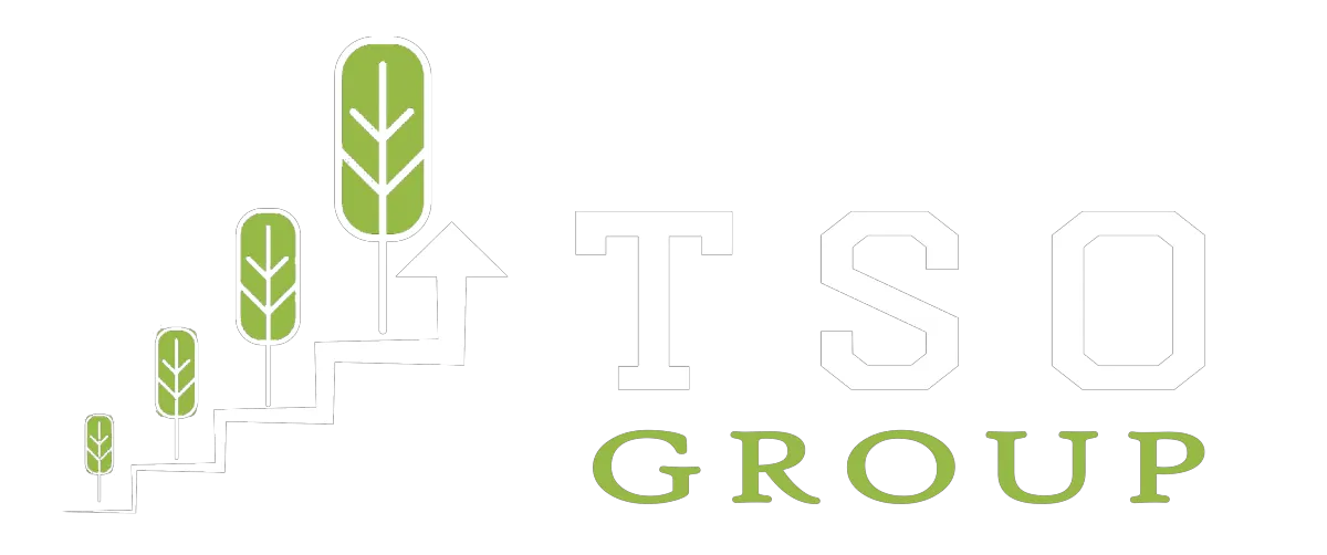tso group