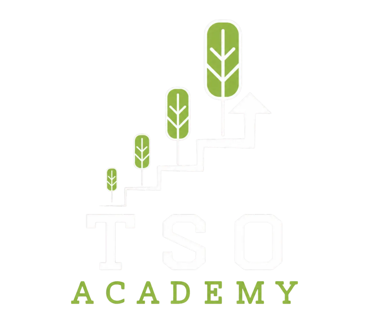 tso group