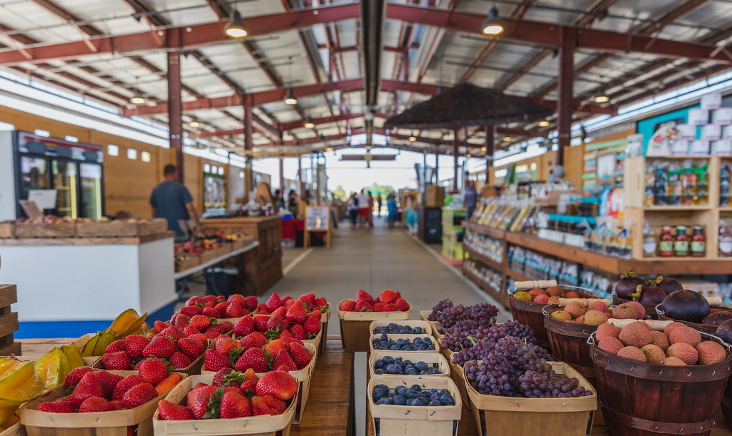 Cost of Living in Frisco, TX: What to Expect