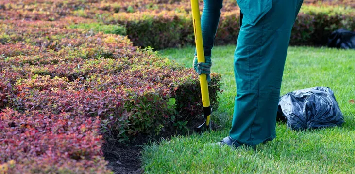 Lawn Mowing & Maintenance Austin, TX