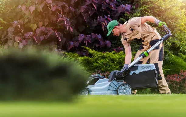 Mulching & Flower Bed Services Austin, TX