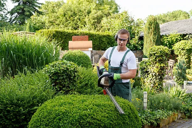 Seasonal Cleanups (Fall & Spring) Austin, TX