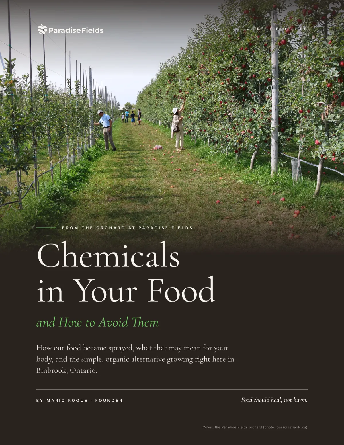 Chemicals in Your Food – free ebook cover by Paradise Fields