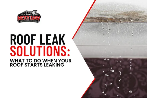 Roof Leak Solutions: What to Do When Your Roof Starts Leaking