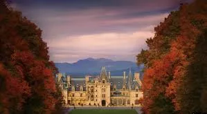 Custom cedar deck with railings in Biltmore Forest