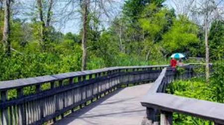 Elevated deck with stairs built on sloped Kenilworth property