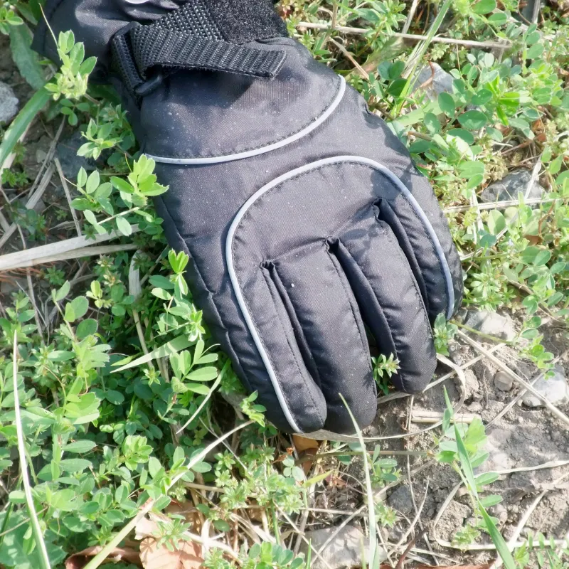 Winter Park Weed Control