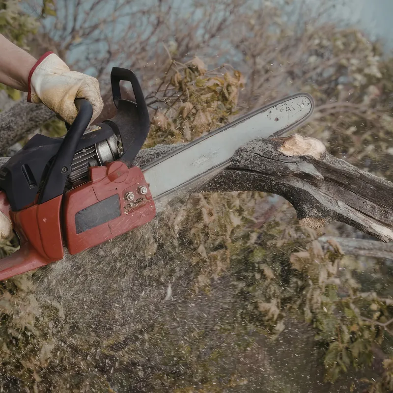 {{ custom_values.service_1 }} in {{custom_values.biz_area_1})