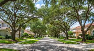 Longwood Mowing