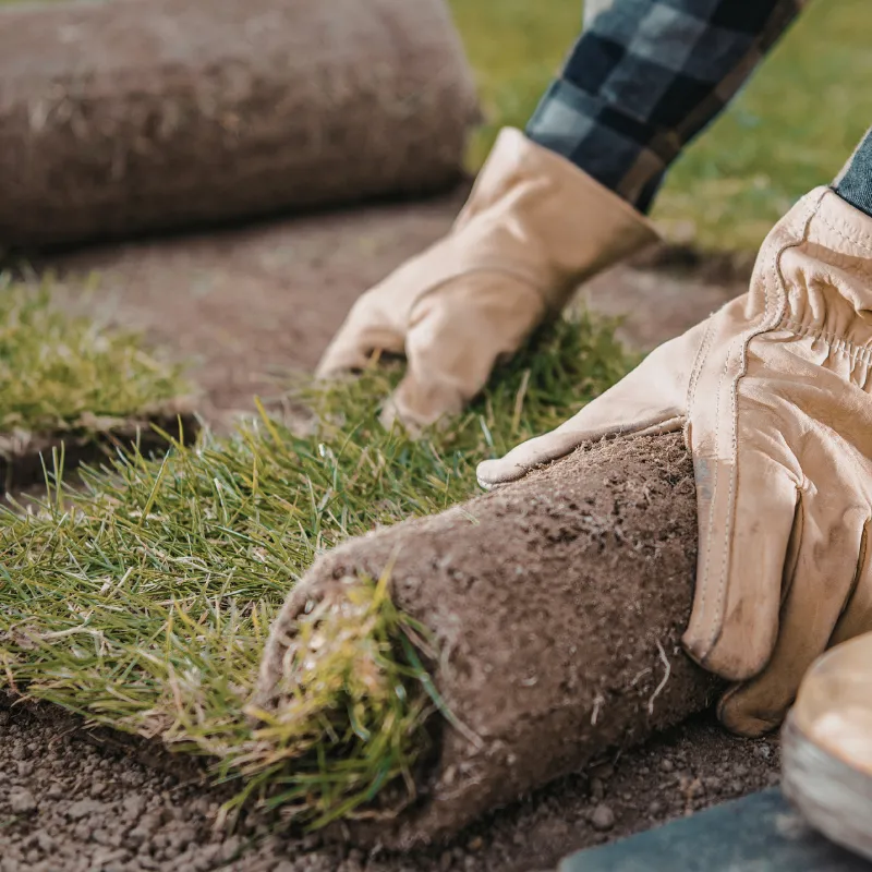 Sanford Sod Replacement