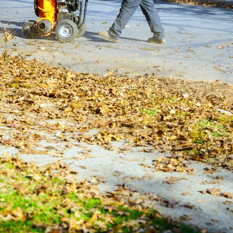 Sanford Seasonal Cleanup