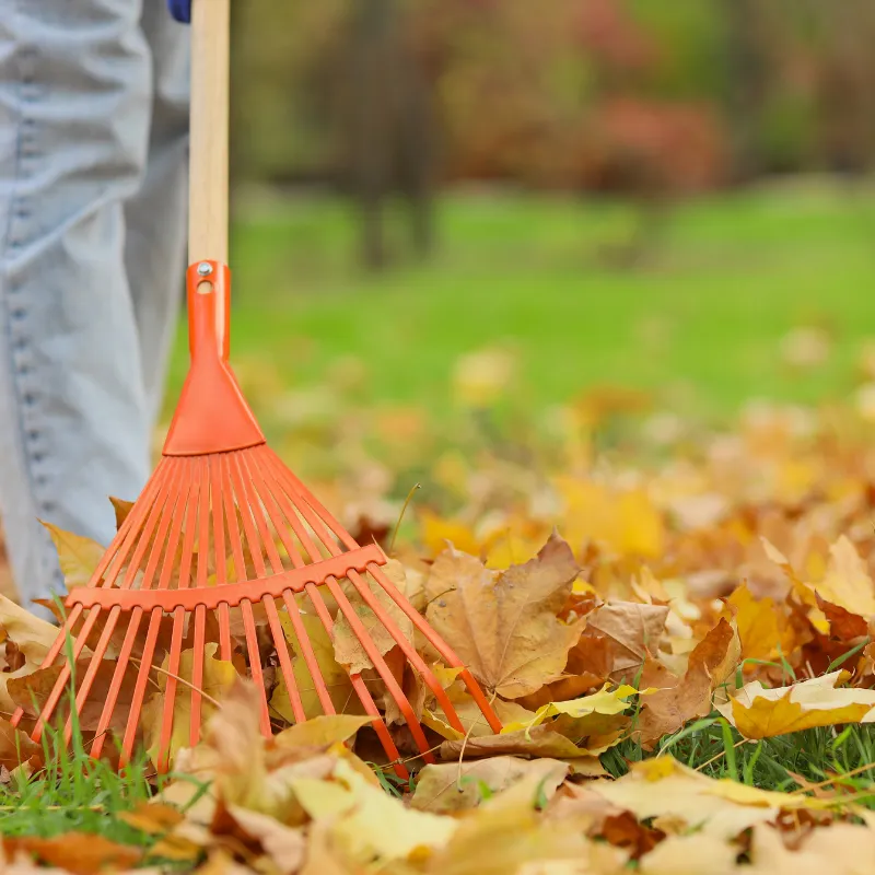 Winter Park Seasonal Cleanup