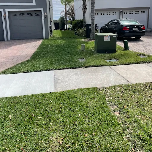 Tree Trimming Orlando