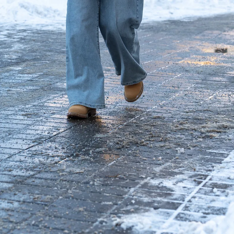 Winter Park Seasonal Cleanup