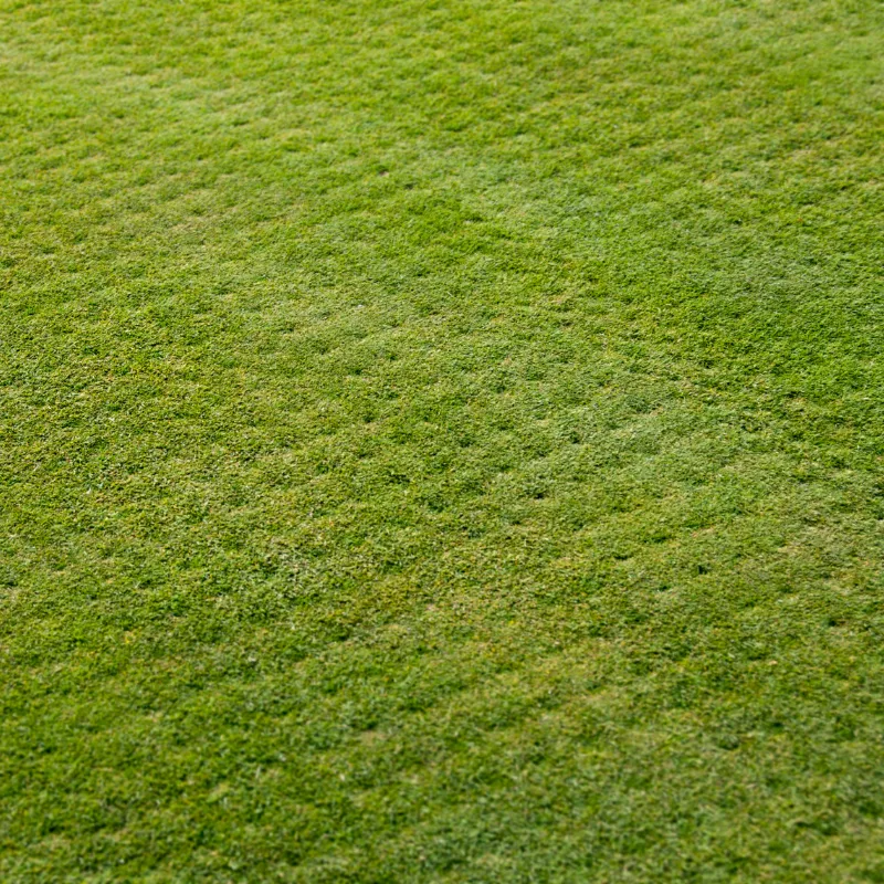 Winter Park Aeration