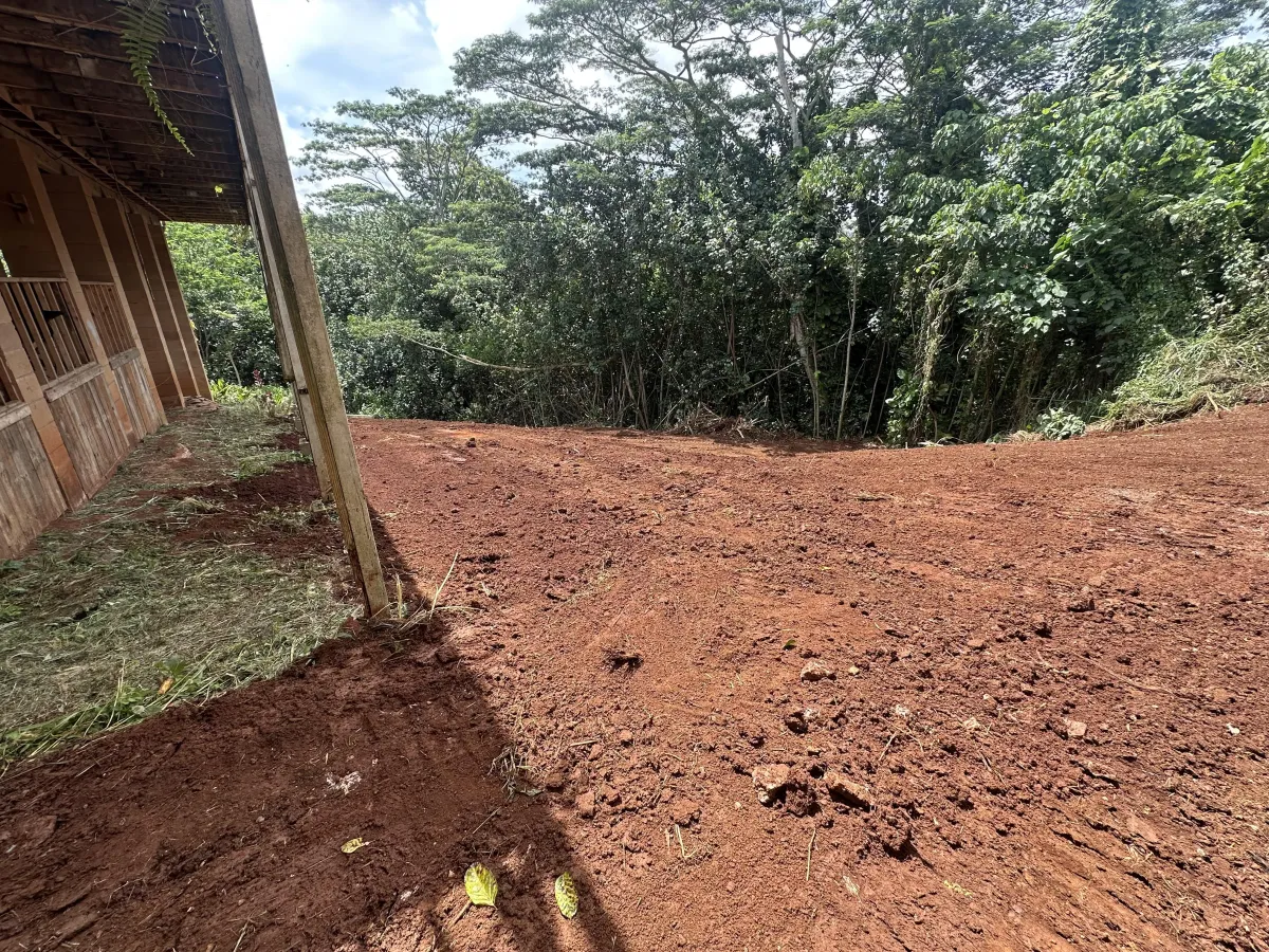 A backyard in Wahiawa cleared and graded, fully prepared for a full yard makeover