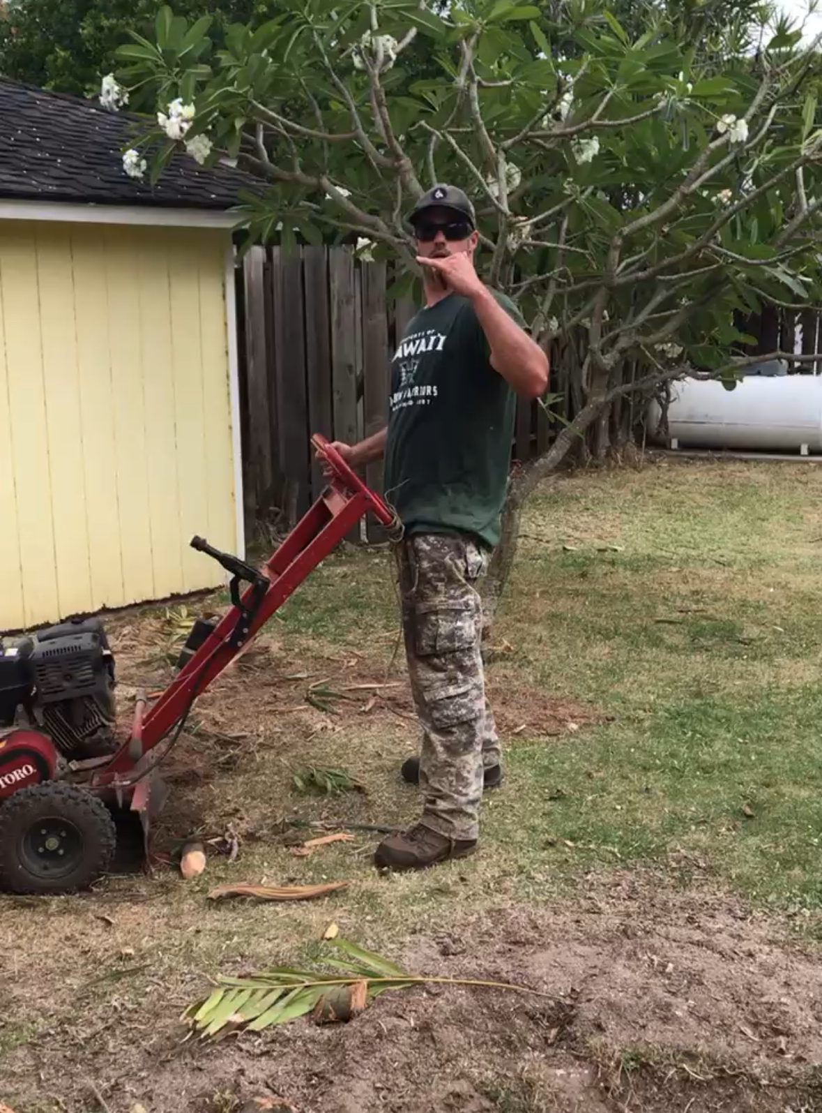 close up of a stump grinder grindeing a monkey pod stump in kailua