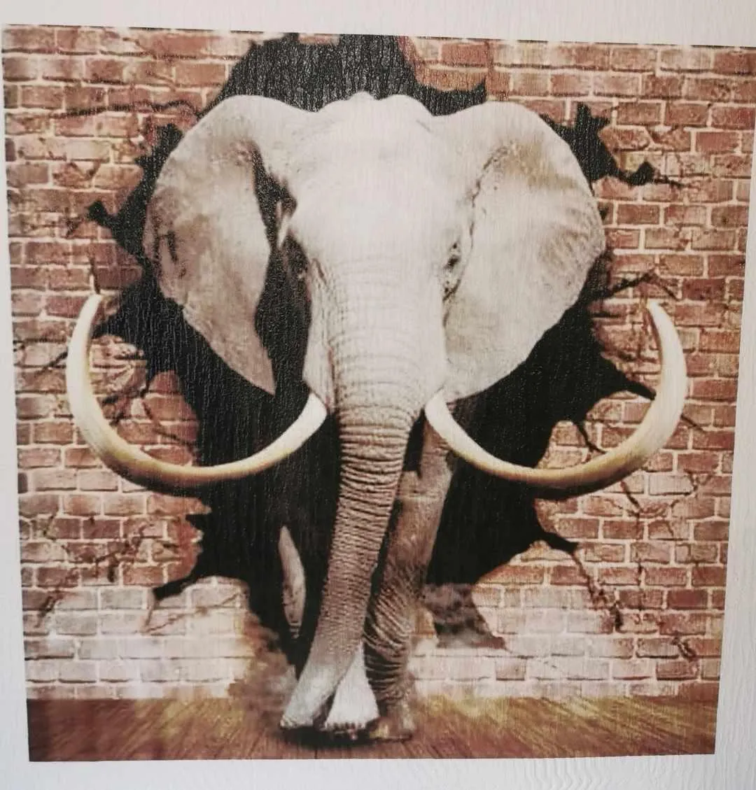 wall printed elephant