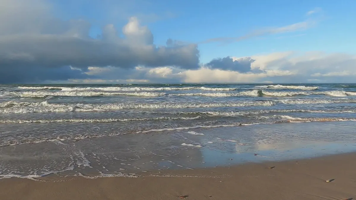 Beach and surf (TX Cruises homepage hero)