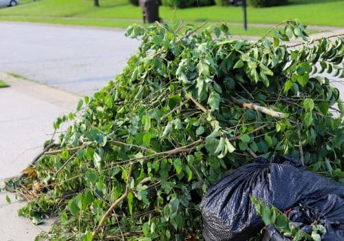 Yard Cleanup in Green Bay