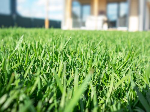 Lawn Installation in Green Bay
