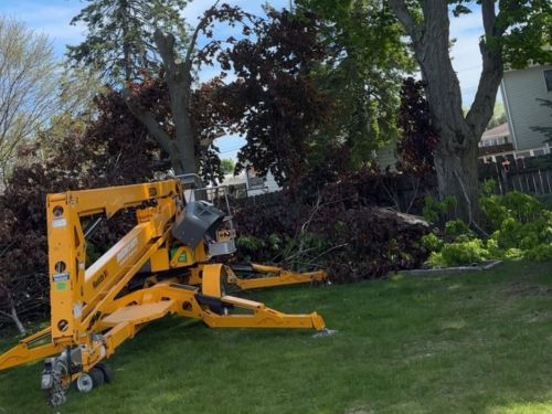 Yard Cleanup Green Bay