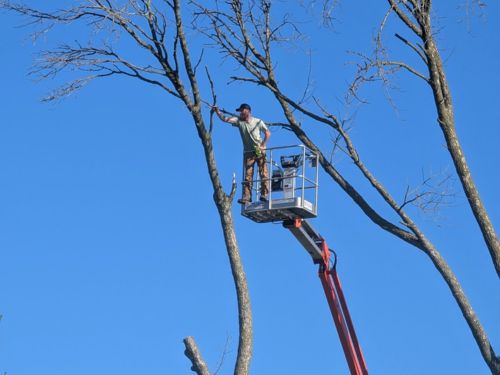 Menasha Landscaping