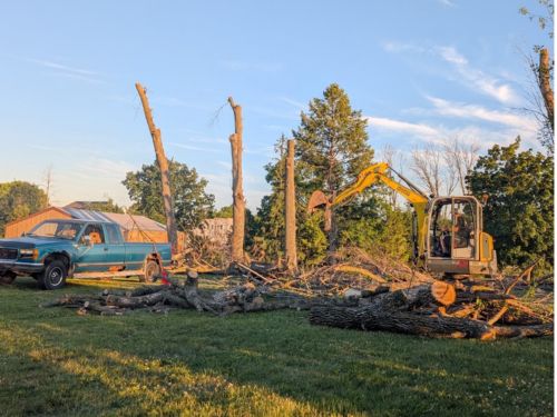 Tree Trimming Green Bay