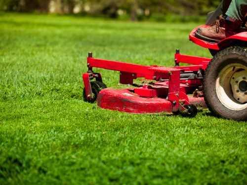 Green Bay Lawn Installation
