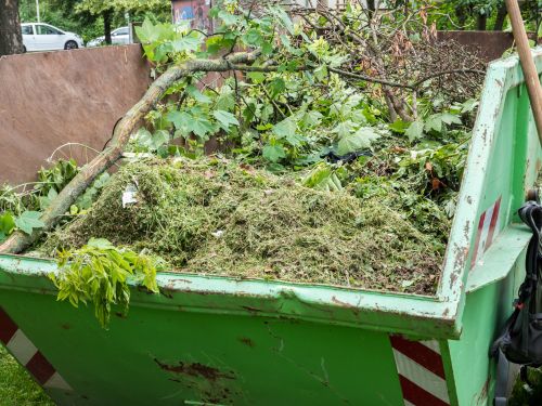 Appleton Yard Cleanup