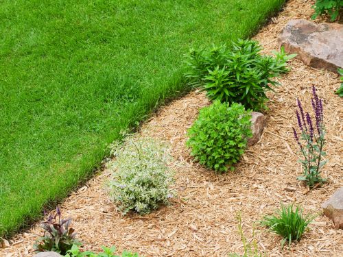Manitowoc Landscaping