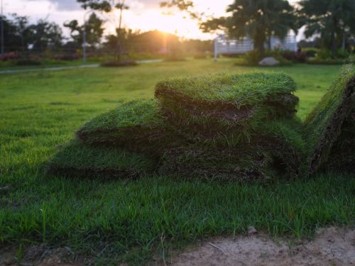 Appleton Lawn Installation