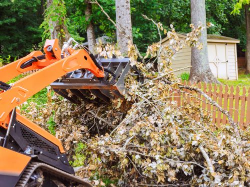 Appleton Land Clearing