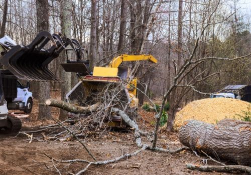 Manitowoc Land Clearing
