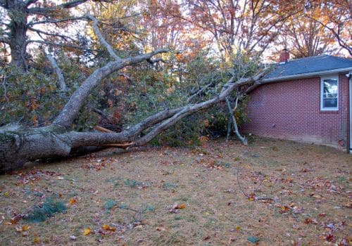 Manitowoc Emergency Tree Service